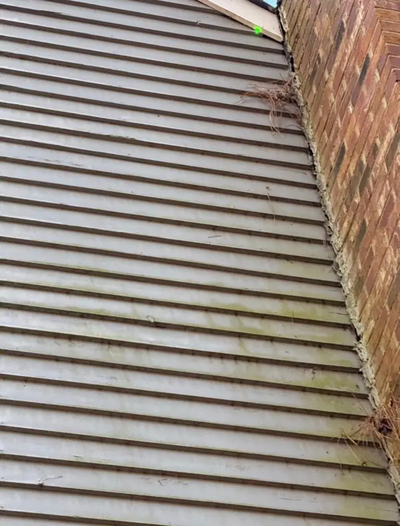 Green mildew and dirt streaks on house siding before washing and exterior painting
